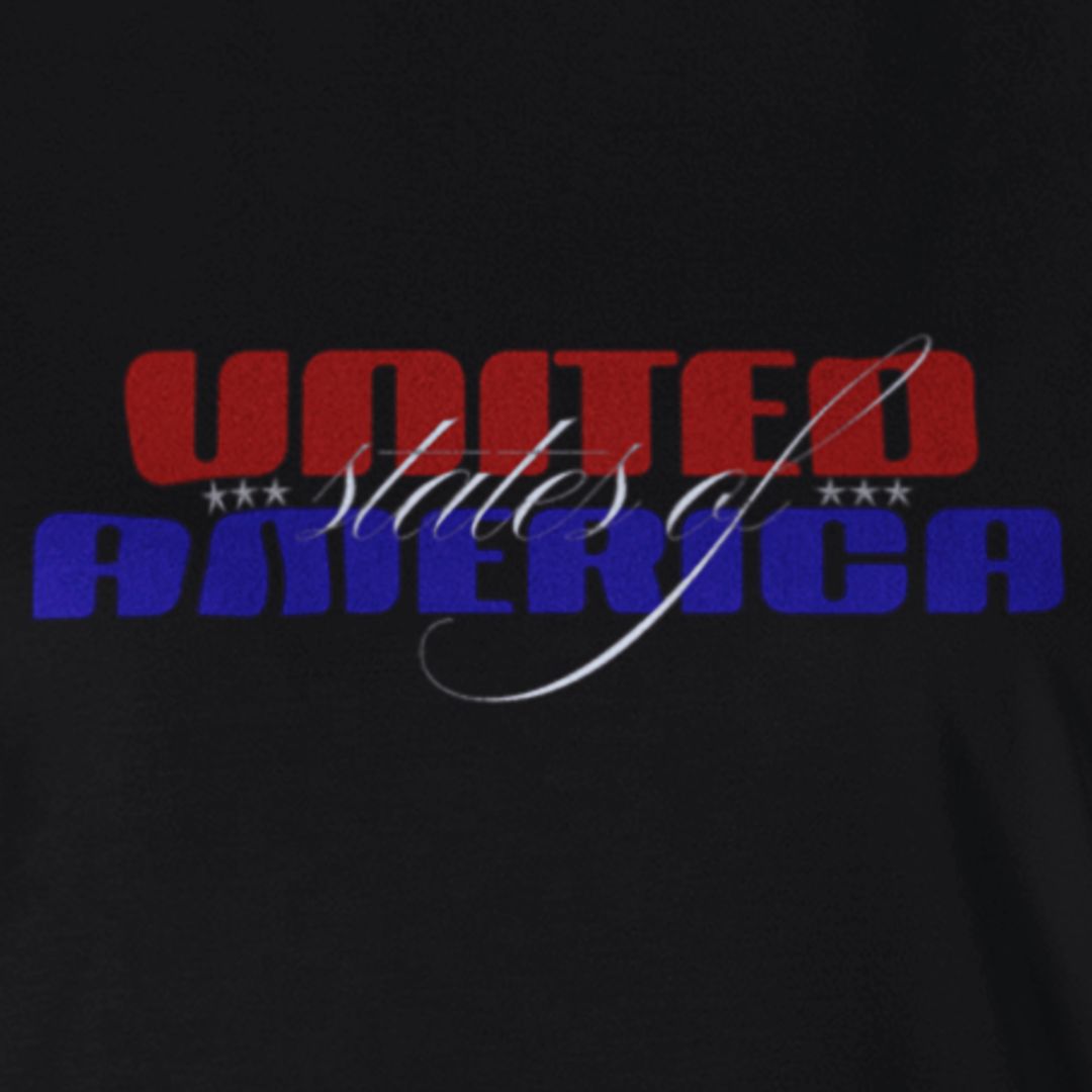 PATRIOTIC UNITED STATES OF AMERICA SLIM FIT T-SHIRT